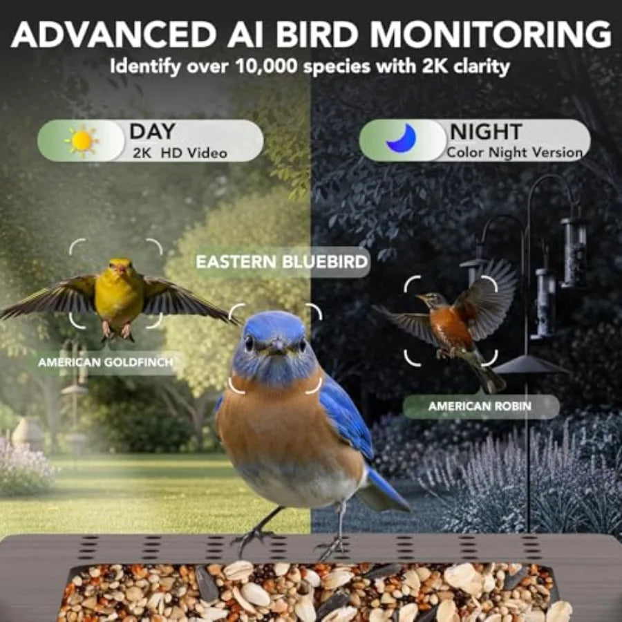 NestWatch Pro - Smart AI Bird Feeder Camera | 2K HD Live Stream | Solar Powered | Identifies 10,000+ Species